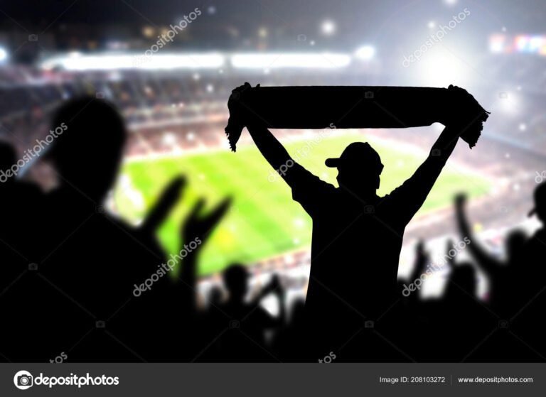 aficionados celebrando un gol en el estadio