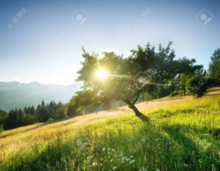 Cómo se dice "good morning beautiful" en español 8 amanecer en un paisaje hermoso