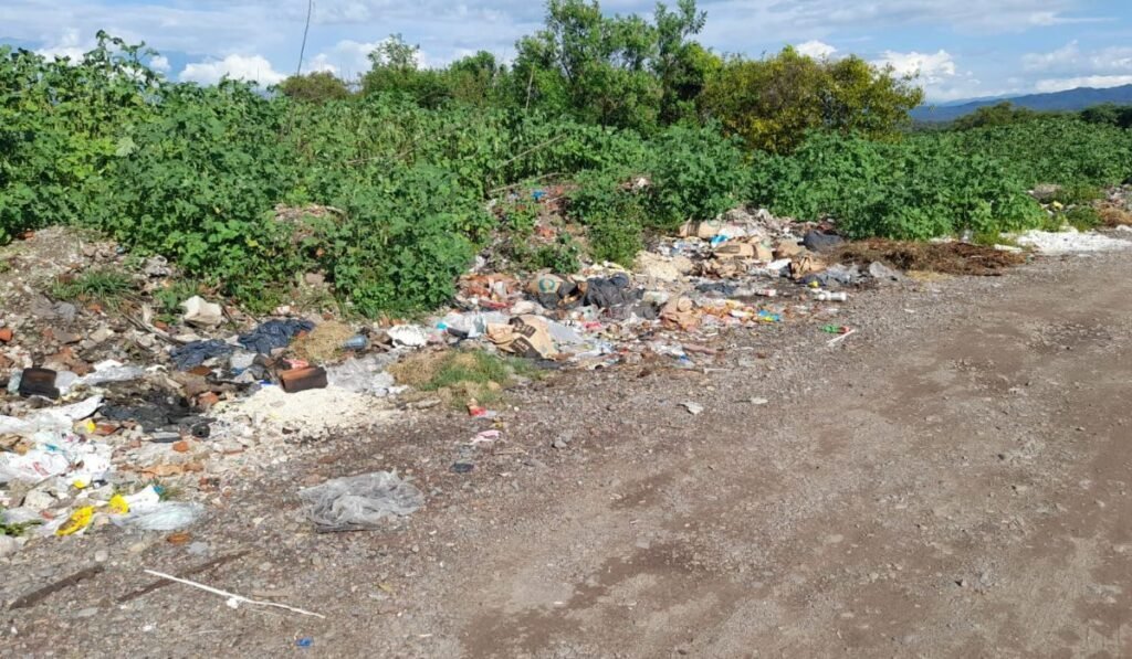 Qué soluciones efectivas existen para los basurales a cielo abierto 1 basural a cielo abierto con vegetacion