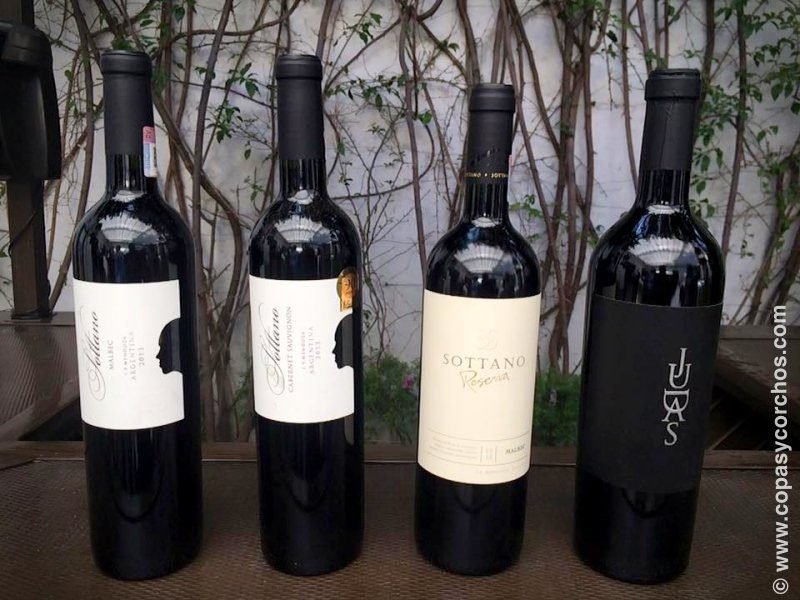 Cuál es el mejor vino argentino del mundo según expertos 4 Cuál es el mejor vino argentino del mundo según expertos