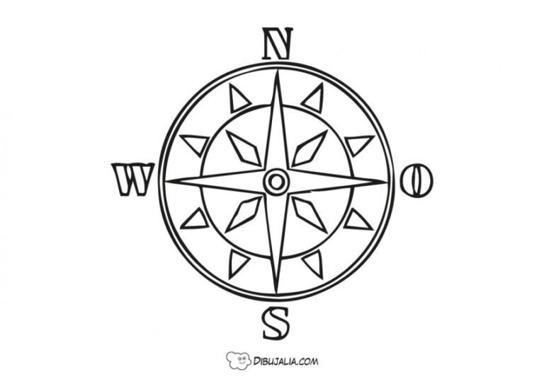 brujula con puntos cardinales destacados
