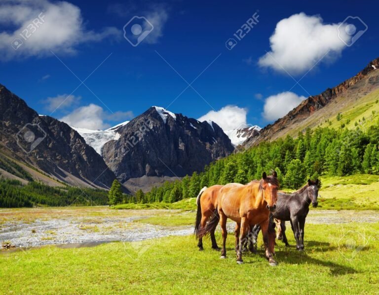 caballos pastando en un paisaje montanoso
