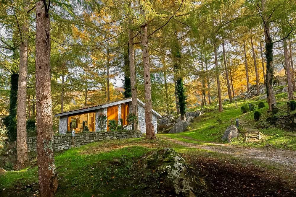 cabana acogedora en bosque natural