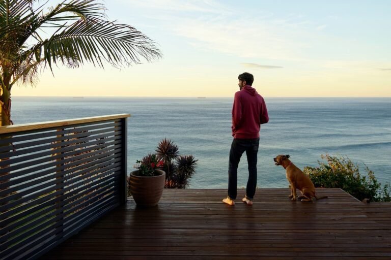 Dónde encontrar cabañas pet friendly en la costa atlántica 14 cabana acogedora en la playa con perro