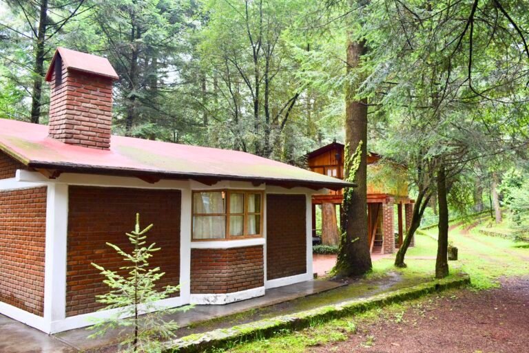 Dónde encontrar bungalows y cabañas en Altos de Villa María 11 cabanas en un bosque sereno
