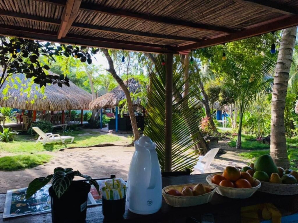 Dónde encontrar cabañas en Las Palmeras, San Francisco del Monte de Oro 1 cabanas rodeadas de naturaleza en las palmeras 1