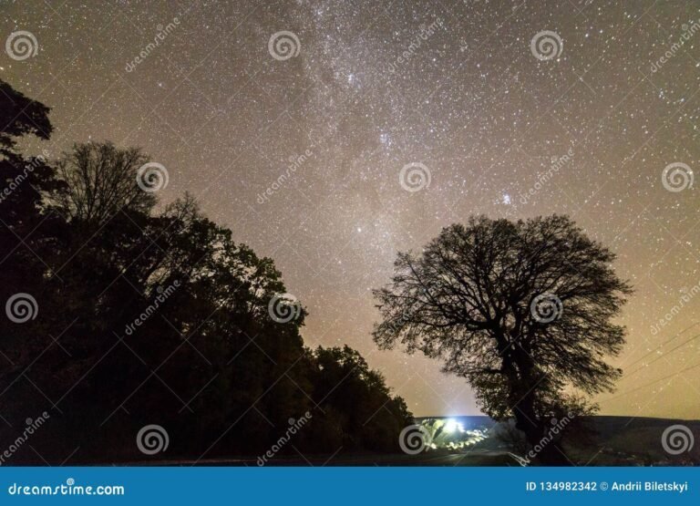 Por qué "No hay paz para los malos" es un mensaje tan poderoso 26 caminos oscuros y luces en la distancia