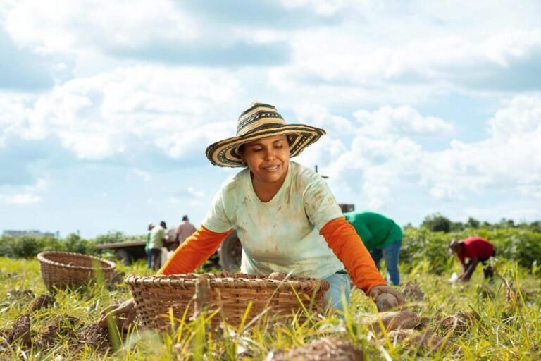Cuál es el modelo de demanda de alimentos en la provincia de Buenos Aires 14 campesinos trabajando en un campo agricola