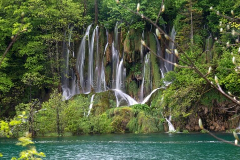 Cuáles son las características de las cascadas Dora y Santa Ana 29 cascada rodeada de vegetacion exuberante 1
