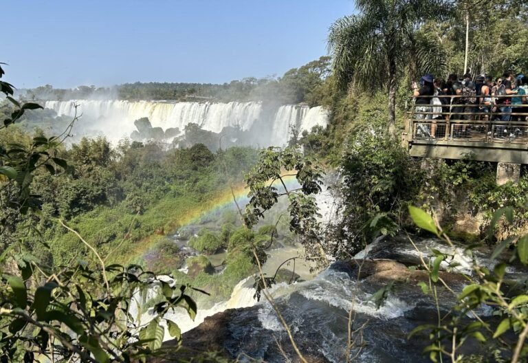 cataratas del iguazu rodeadas de naturaleza