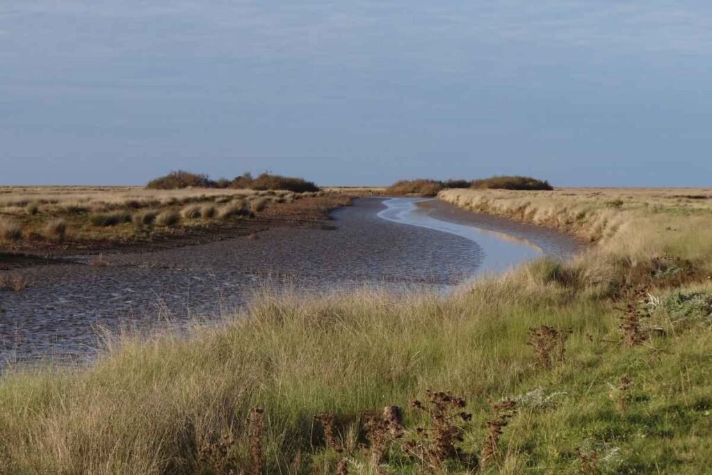 Dónde encontrar chacras en Costa Campo, Mar de Ajó 3 Dónde encontrar chacras en Costa Campo, Mar de Ajó