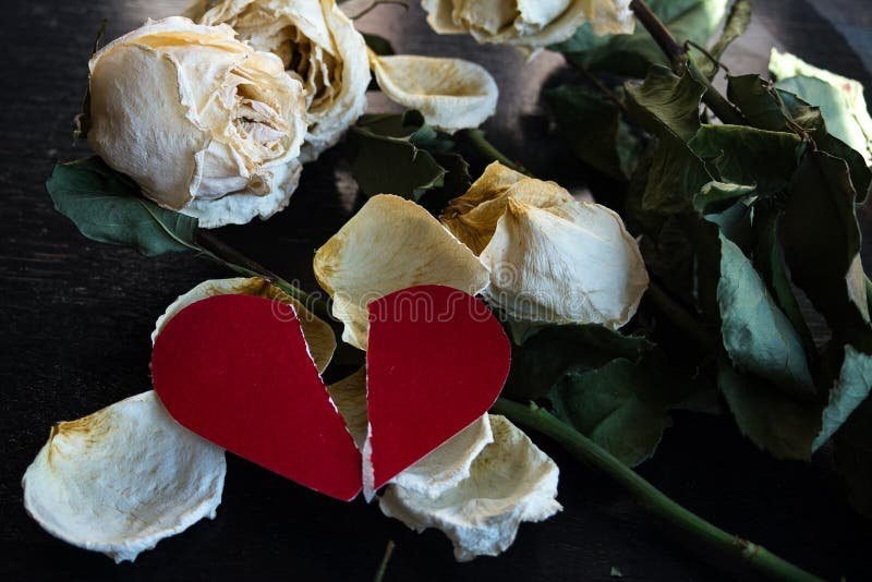 Piqué le hizo un engaño a Clara Chía en su relación 1 corazon roto con flores marchitas