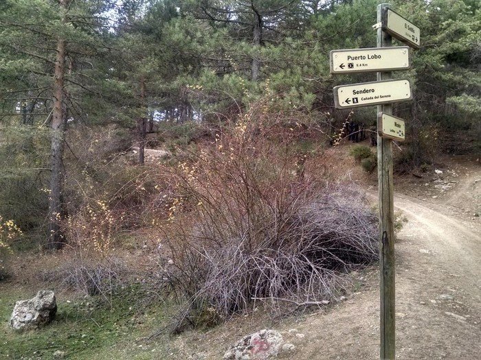 Qué es el Ikigai y cómo puede ayudarte a vivir feliz y largo 7 Qué es el Ikigai y cómo puede ayudarte a vivir feliz y largo