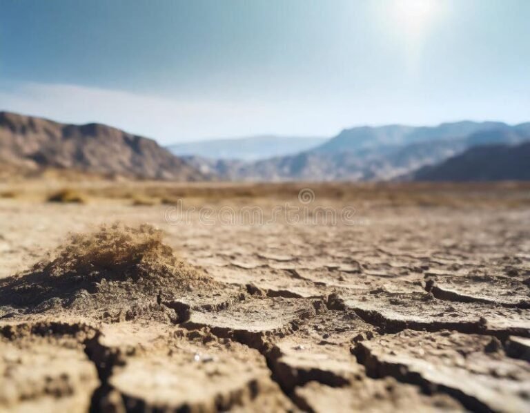 desierto arido bajo un sol abrasador 1