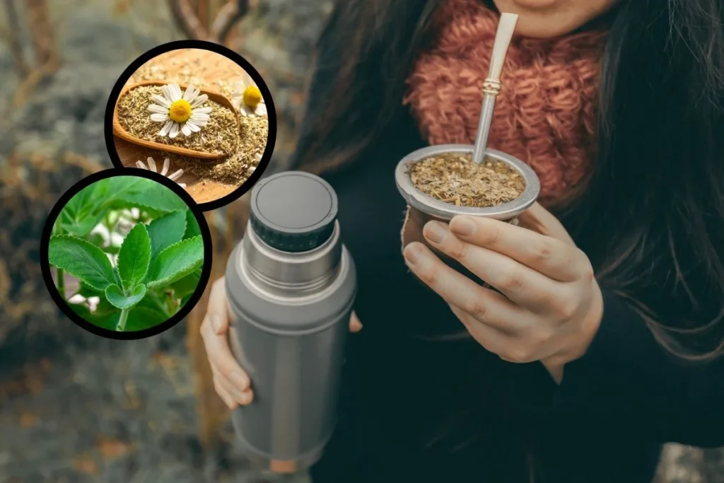 Cómo elegir la mejor flor para el mate y disfrutar de su sabor 5 Cómo elegir la mejor flor para el mate y disfrutar de su sabor