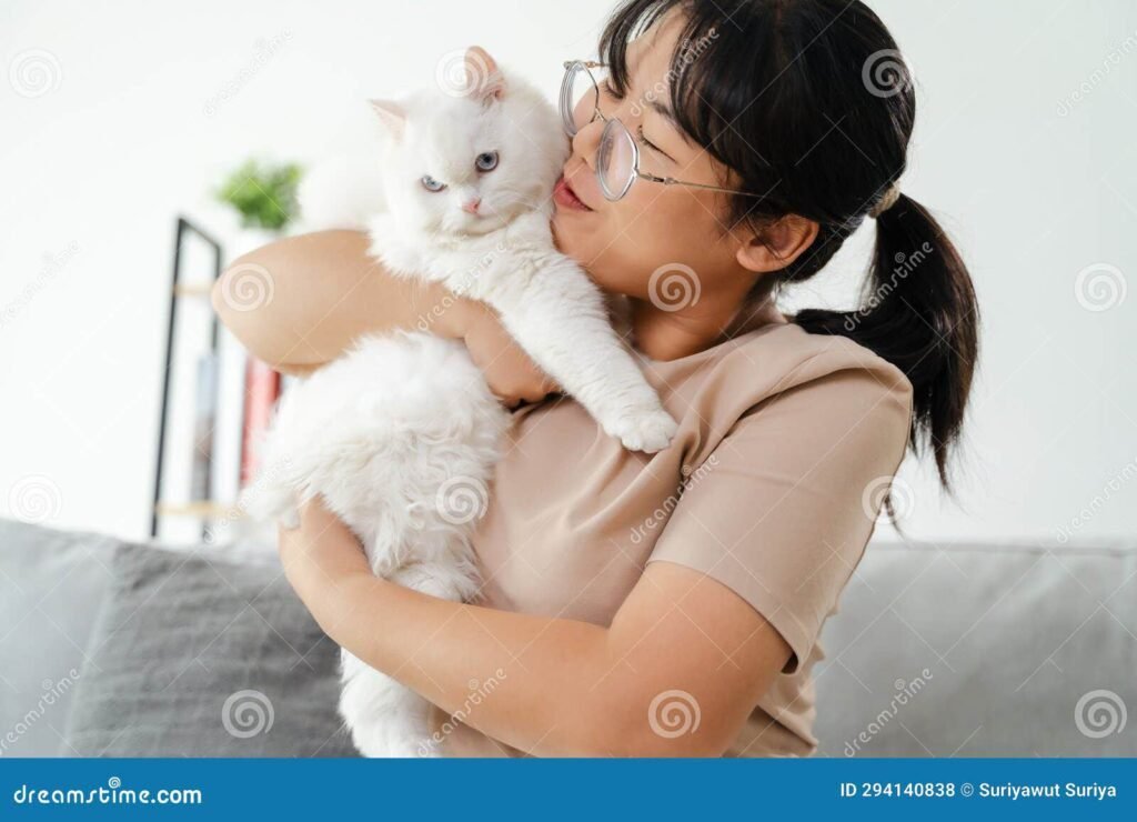 Por qué es bueno tener un gato en casa y qué beneficios trae 5 Por qué es bueno tener un gato en casa y qué beneficios trae