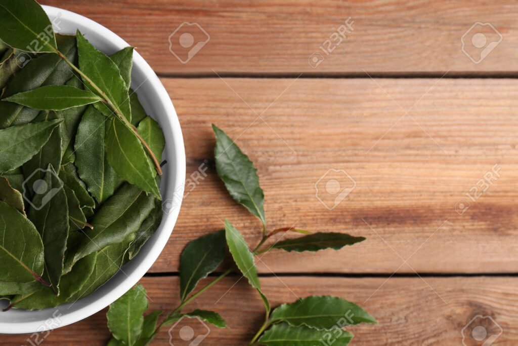 Cómo se prepara correctamente el té de laurel en casa 6 Cómo se prepara correctamente el té de laurel en casa