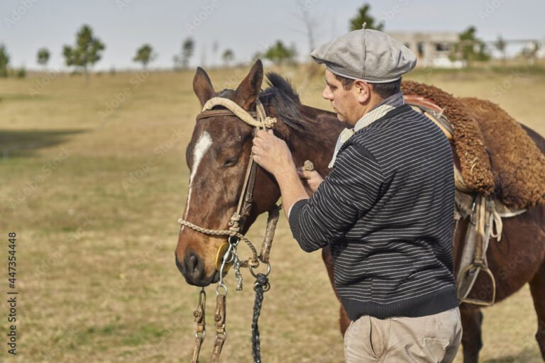 hombre a caballo en el campo argentino