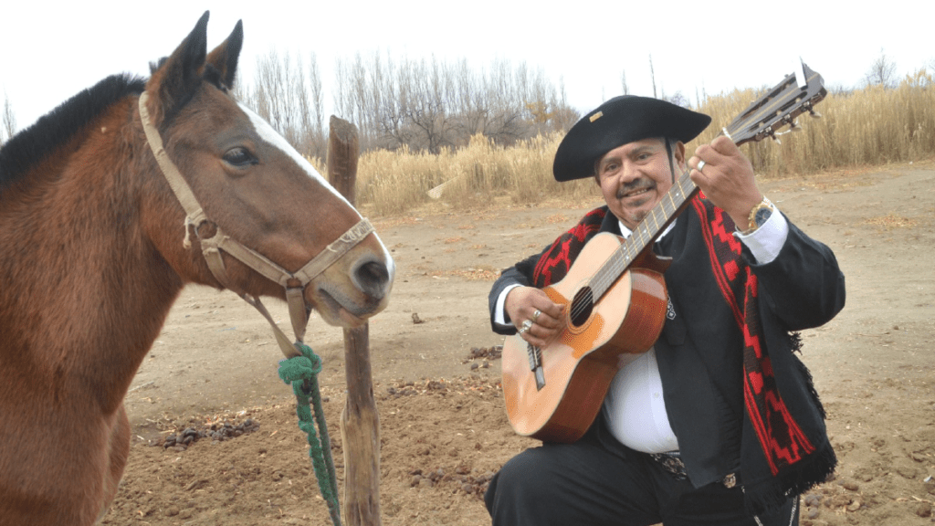 hombre gaucho con guitarra en el campo