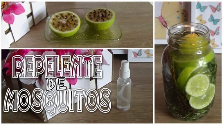 ingredientes naturales para repelente casero