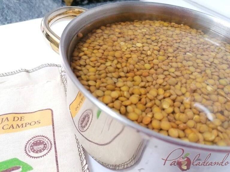 Cómo preparar un delicioso guiso de lentejas al estilo Doña Petrona 4 lentejas cocinandose en una olla tradicional