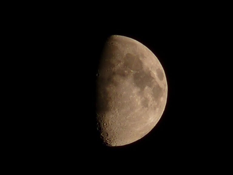 luna en cuarto creciente sobre paisaje nocturno