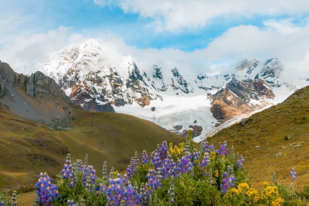 majestuosos picos nevados de los andes