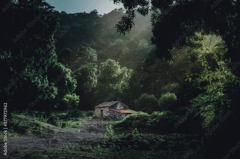Qué mitos y leyendas famosas existen en Argentina 2 misteriosa selva argentina al atardecer