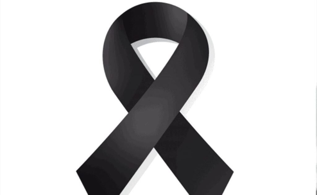 Cómo agregar un moño negro de luto en tu perfil de WhatsApp 1 mono negro de luto en perfil digital