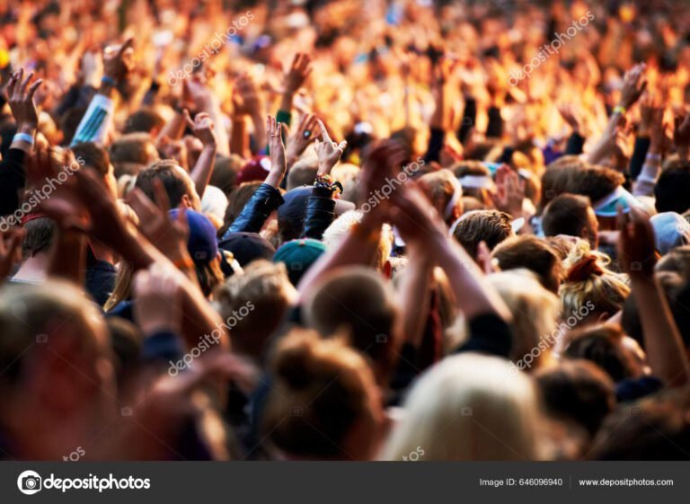 multitud disfrutando de un festival al aire libre