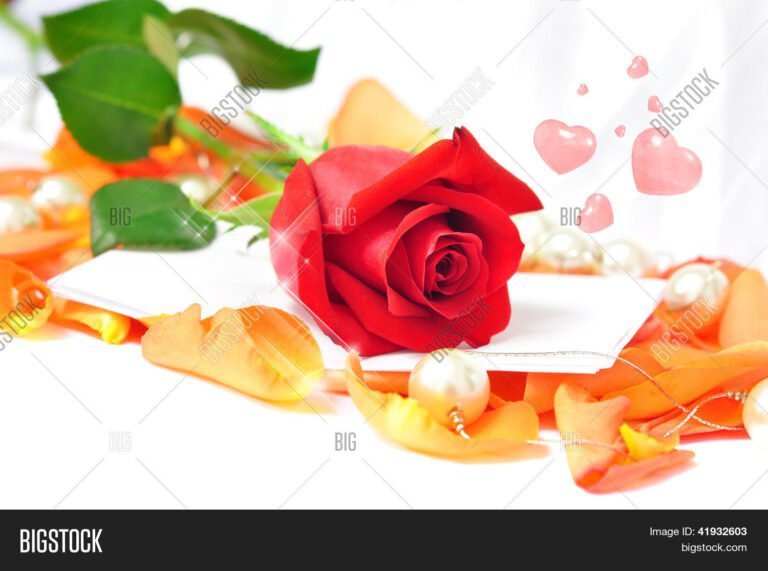 naranjo en flor en un paisaje romantico 1