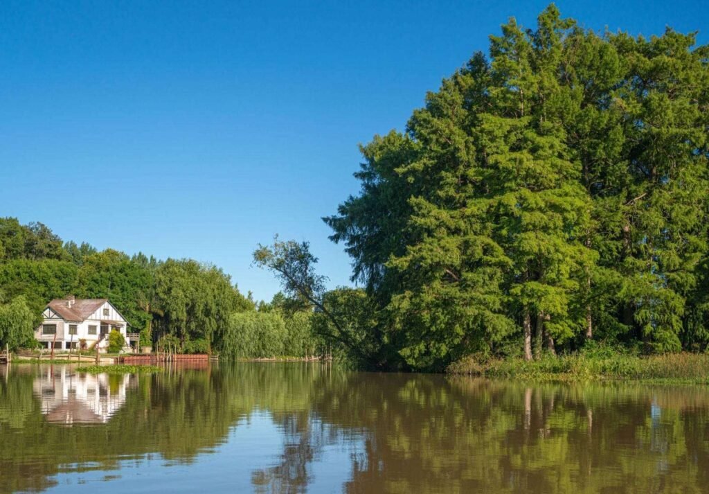Qué lugares turísticos visitar en el Departamento de Federación, Entre Ríos 8 Qué lugares turísticos visitar en el Departamento de Federación, Entre Ríos