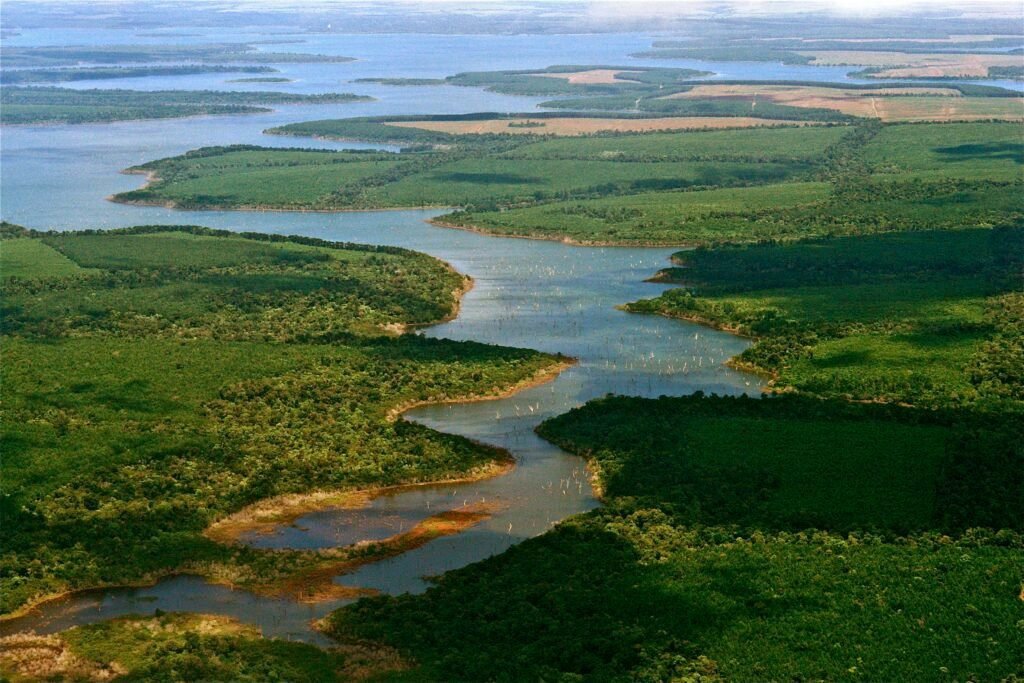 Cuál es la mejor época para visitar los Esteros del Iberá 8 Cuál es la mejor época para visitar los Esteros del Iberá