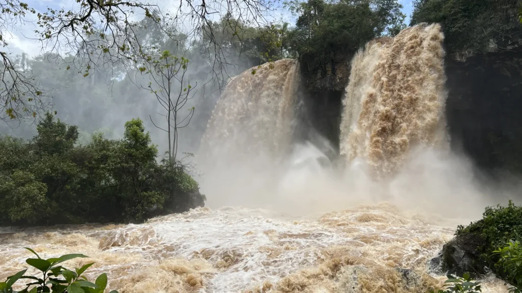 Qué actividades y atractivos ofrece el barrio Las Leñas en Puerto Iguazú 4 Qué actividades y atractivos ofrece el barrio Las Leñas en Puerto Iguazú