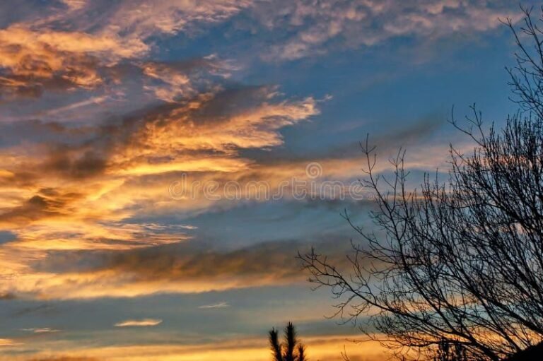 naturaleza serena con atardecer inspirador