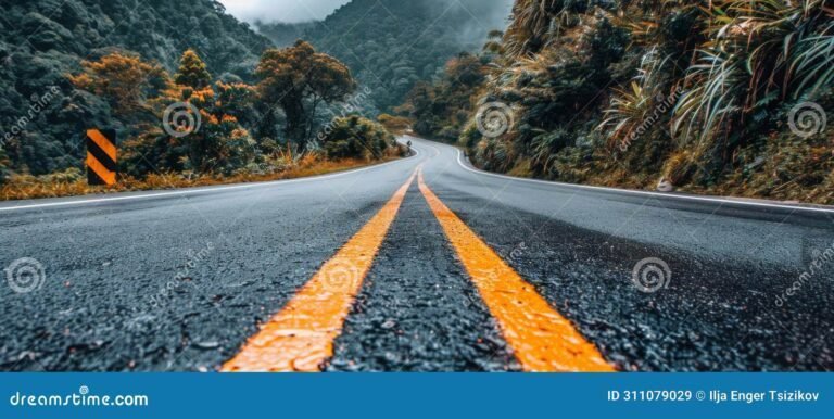 Qué frases inspiradoras se pueden usar para vivir un día a la vez 6 naturaleza serena con camino tranquilo