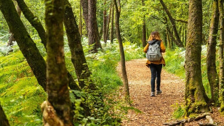 naturaleza y actividades al aire libre 1