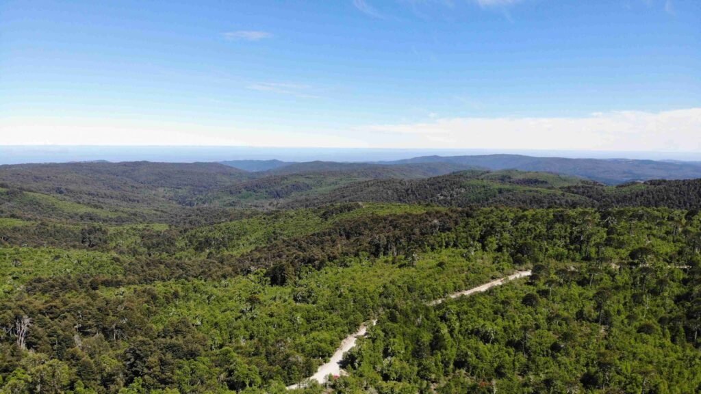 Qué actividades se pueden realizar en Tres Pinos, Villa de Campo 6 Qué actividades se pueden realizar en Tres Pinos, Villa de Campo