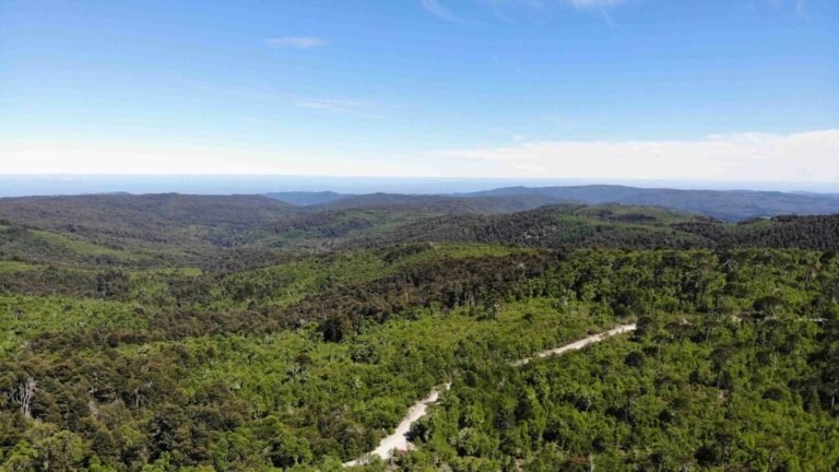 naturaleza y paisajes de tres pinos