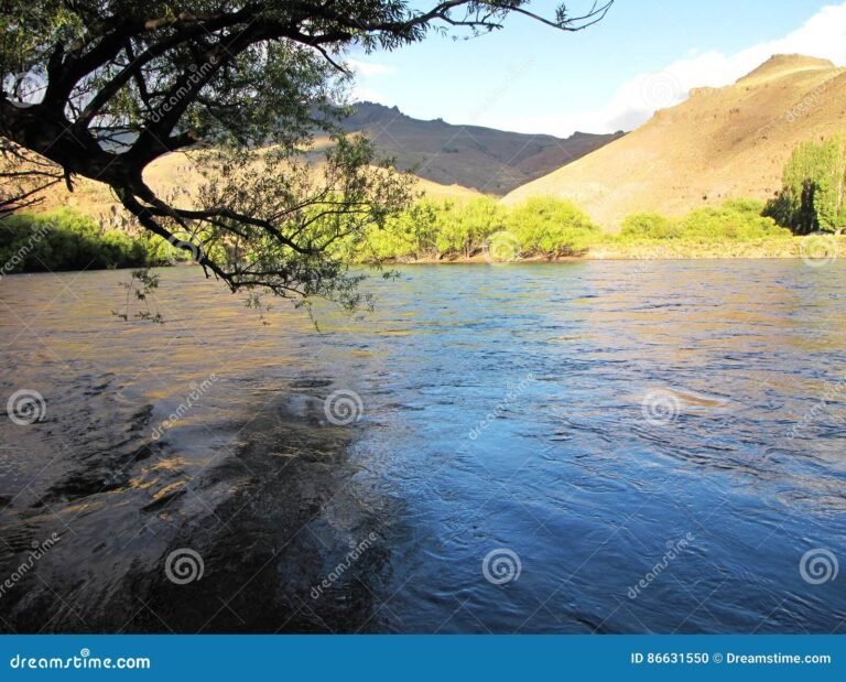 paisaje de san martin con arboles y montanas