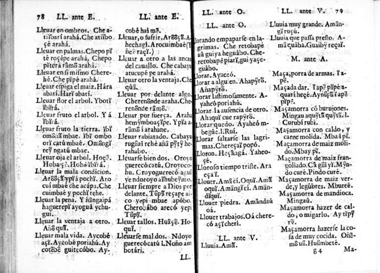 Cuáles son algunas palabras en guaraní y su traducción al castellano 20 palabras guaranies con sus traducciones 1