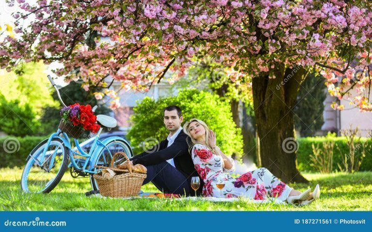pareja relajandose en un picnic romantico 1