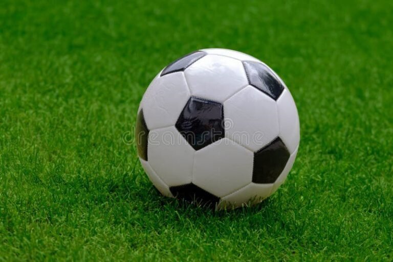 pelota de futbol clasica blanca y negra