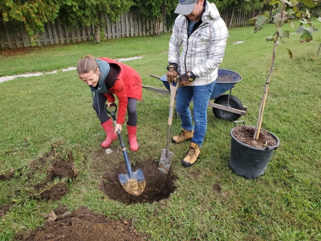 Qué actividades se realizan en el Día del Cuidado del Medio Ambiente
