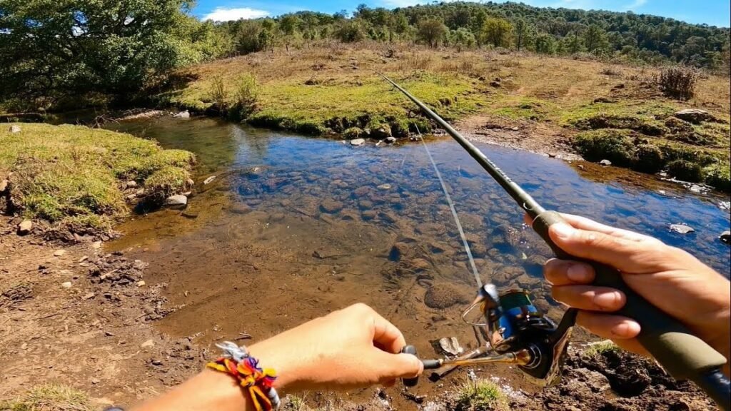 Cómo obtener el permiso de pesca en Santa Cruz Guía completa 6 Cómo obtener el permiso de pesca en Santa Cruz Guía completa