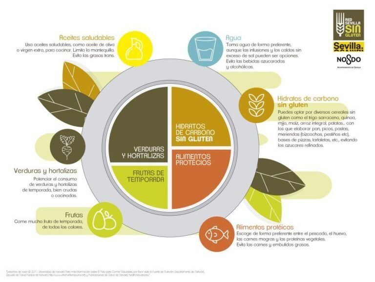 plato colorido con alimentos sin gluten