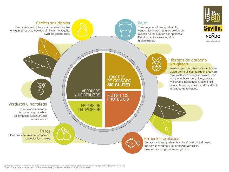 Qué restaurantes ofrecen menú sin TACC en Argentina 8 Qué restaurantes ofrecen menú sin TACC en Argentina
