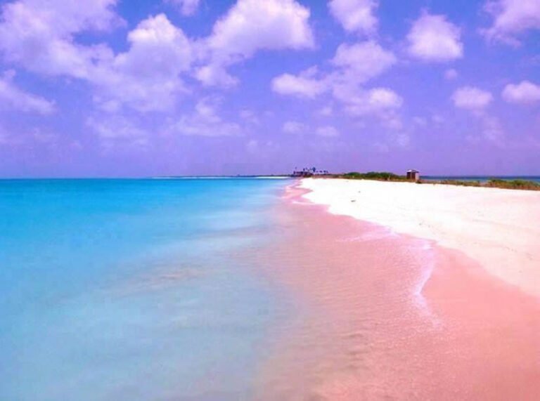 playa de arena rosa en bahamas