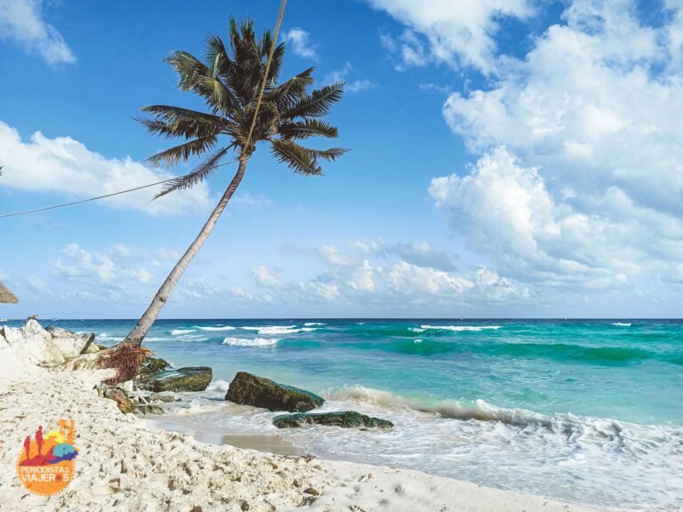Cuáles son las mejores actividades para hacer en Playa del Carmen, Quintana Roo 10 playa del carmen con palmeras y mar