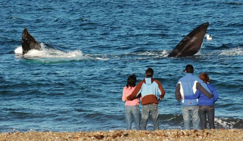 Cuáles son las principales características de Playa El Doradillo en Puerto Madryn 6 Cuáles son las principales características de Playa El Doradillo en Puerto Madryn
